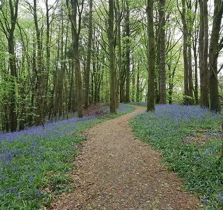 Church View Manor 펜션 *