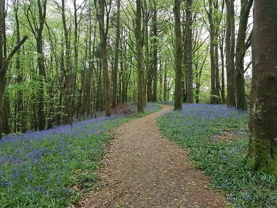 Church View Manor Сasa de vacaciones *